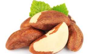 Бразильский орех – польза и вред для женщин