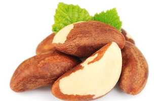 Бразильский орех – польза и вред для женщин