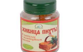 Лечебные свойства и применение в народной медицине живицы пихты