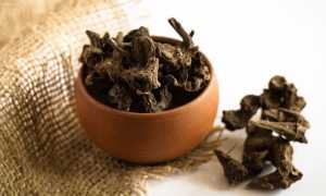 Умеренно дифференцированная аденокарцинома желудка: симптомы и лечение