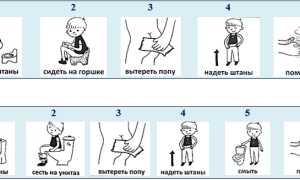 Когда и как начать приучать Вашего малыша к горшку
