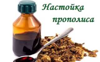 Как сделать суперкачественную спиртовую настойку прополиса в домашних условиях–3 простейших шага