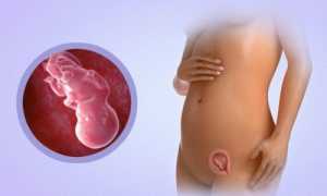 Тест на беременность с неделями