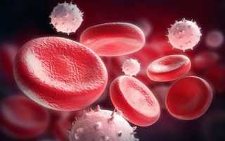 Все о гемостазе при беременности