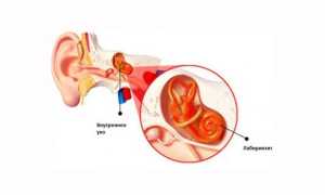 Хронический отит у взрослого и ребенка — симптомы и лечение