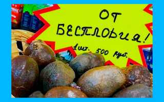 Орех мохилхин от бесплодия: помогает или нет, комментарии врача