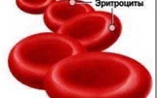 Эритроциты в моче