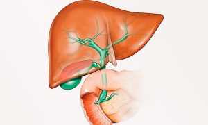 Осложнения гепатита А — симптомы возможных последствий заболевания