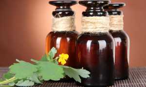 Лечение чистотелом кожного заболевания — псориаз