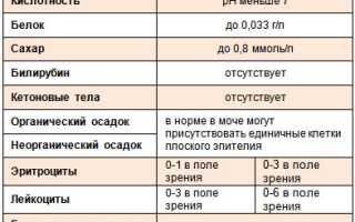 Амилаза мочи: норма и отклонения у взрослых