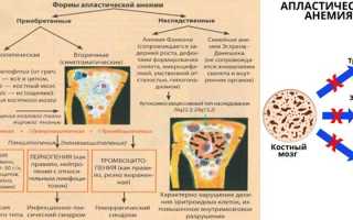 Апластическая анемия у детей и взрослых — симптомы и лечение