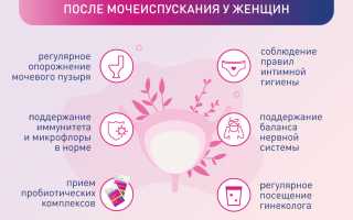Дискомфорт после мочеиспускания у женщин причины