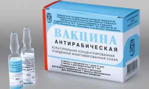 Антирабическая вакцина: инструкция по применению, схема вакцинации, цена