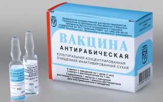 Антирабическая вакцина: инструкция по применению, схема вакцинации, цена