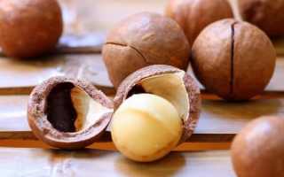 Орех Макадамия–польза и вред самого твердого и дорогого ореха в мире