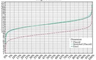 Размер члена в 14 лет: какой должен быть у подростков