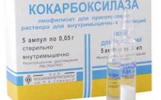 Карбоксилаза: для чего назначают, инструкция по применению, аналоги и отзывы