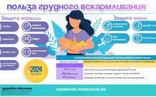 Польза грудного вскармливания после года для малыша
