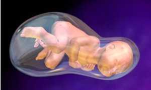 Внутриутробный период: что способствует нормальному протеканию беременности