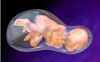 Внутриутробный период: что способствует нормальному протеканию беременности