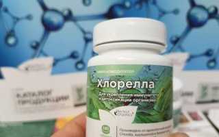 Хлорелла–полезные свойства, плюсы и минусы применения