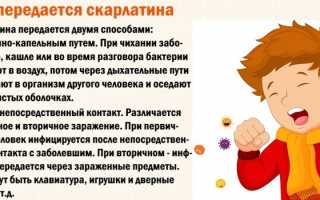 Что такое скарлатина — симптомы, лечение и профилактика