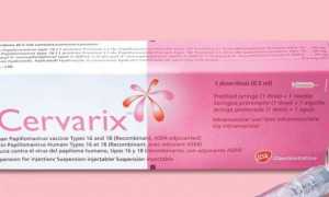 Прививка от ВПЧ