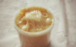 Мед донниковый — полезные свойства, противопоказания и применение в народной медицине