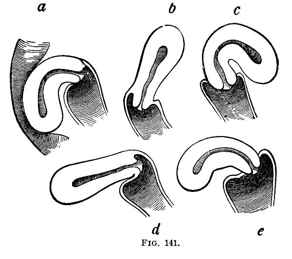 Варианты загиба