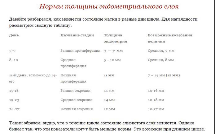 Толщина эндометрия для зачатия