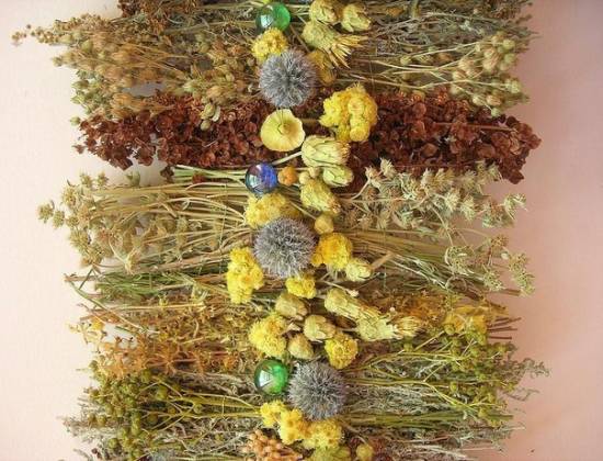 Лечение травами