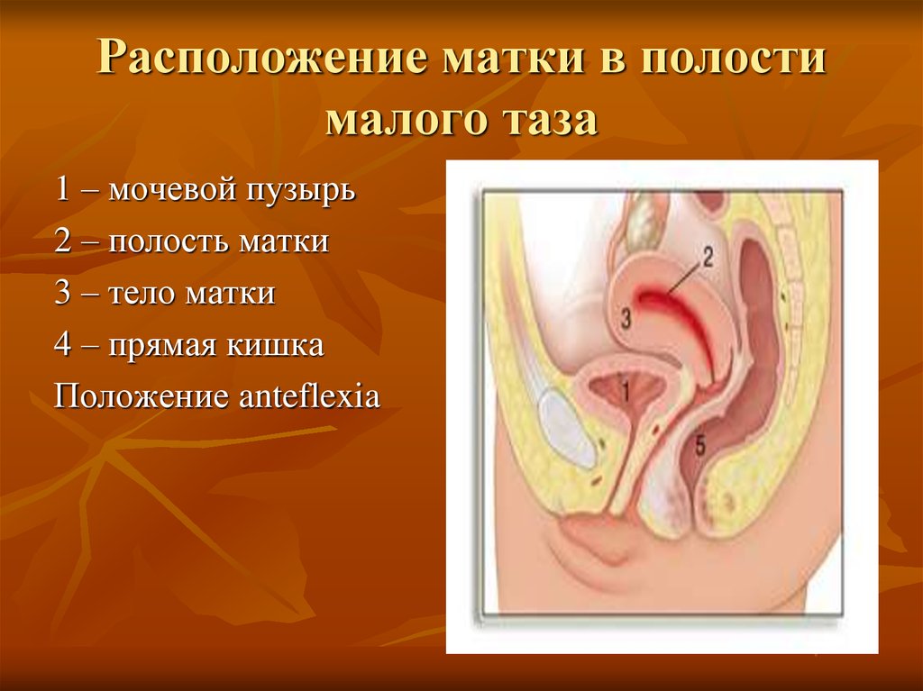 Нормальное положение