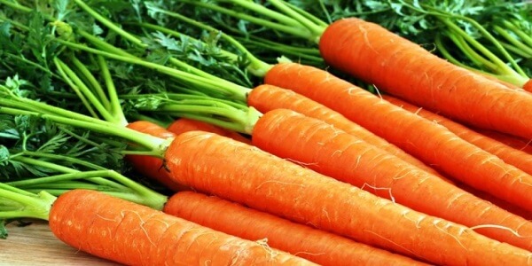 Морковь Морковь - фото