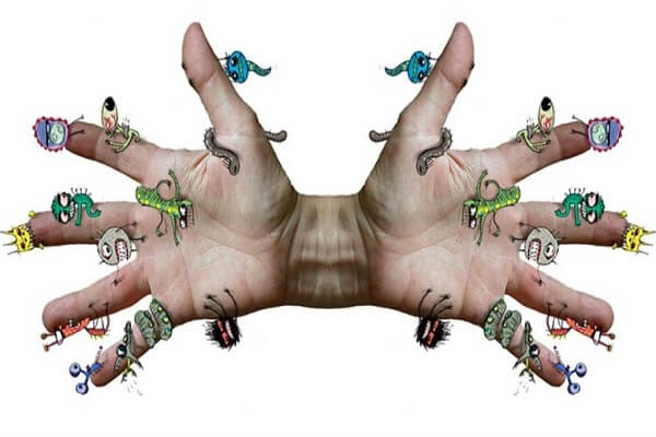 Паразиты Паразиты в организме человека