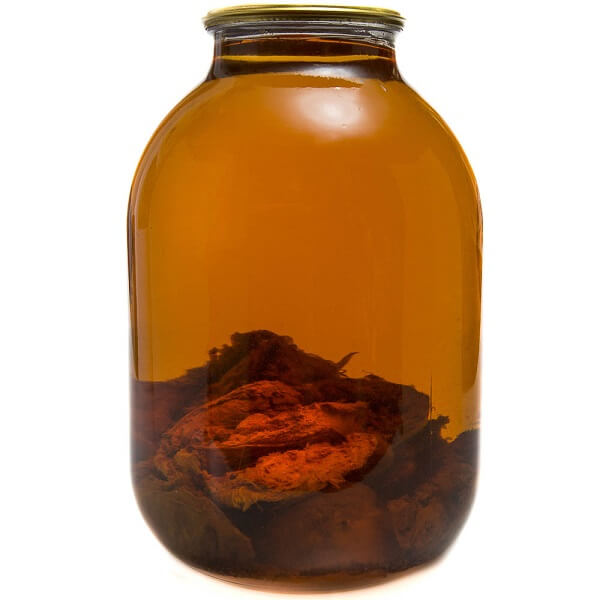 Домашняя настойка бобровой струи в банке Спиртовая настойка бобровой струи в банке