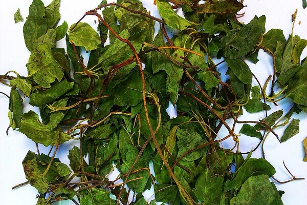 Сушеная боровая матка Трава боровой матки - фото