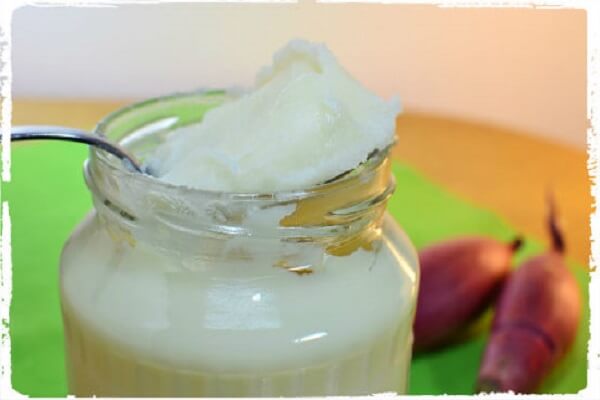 Медвежий жир в ложке Химический состав медвежьего жира