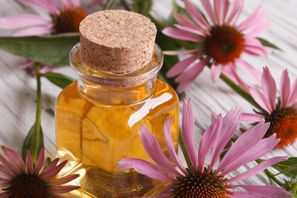 Домашняя настойка Эхинацеи Как в домашних условиях сделать настойку эхинацеи