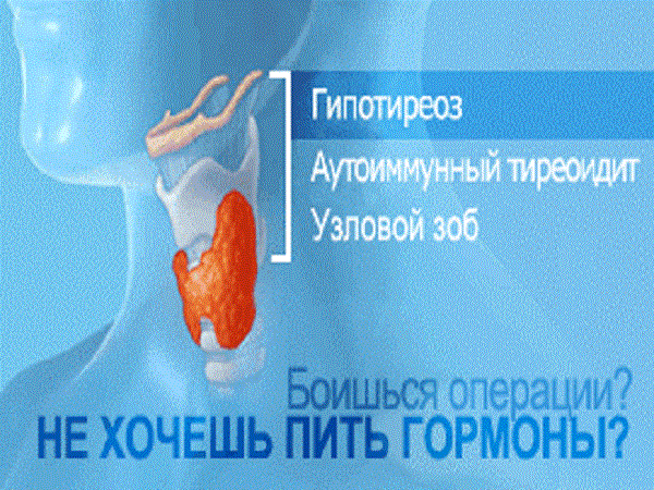 Гипотиреоз Применение эндонорм