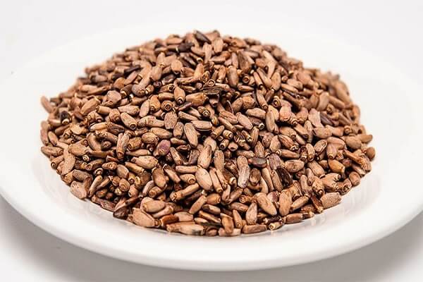 Семена расторопши в чашке Семя расторопши