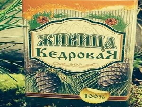 Живица кедра Польза кедровой живицы