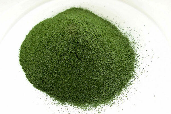 Молотая хлорелла - фото Молотая хлорелла