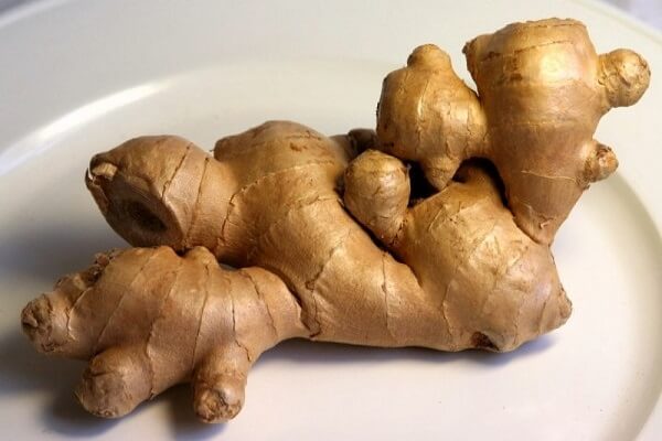 Корень имбиря Корень имбиря - фото