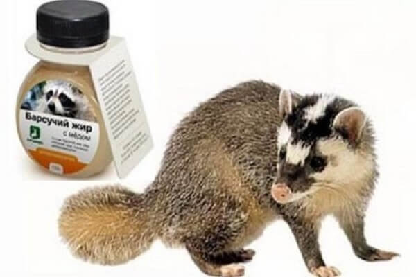 Барсучий жир с йодом - фото Барсучий жир с йодом
