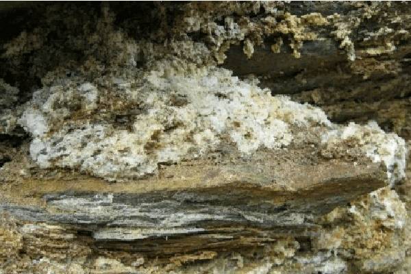 Как выглядит каменное маслов природе каменное масло в природе