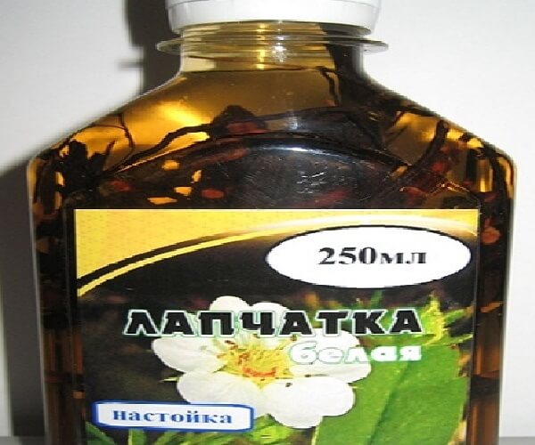 Настойка лапчатки белой 25 % Фото настойки из корня лапчатки белой