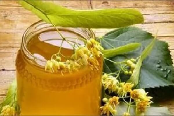 Липовый мед в банке Липовый мед