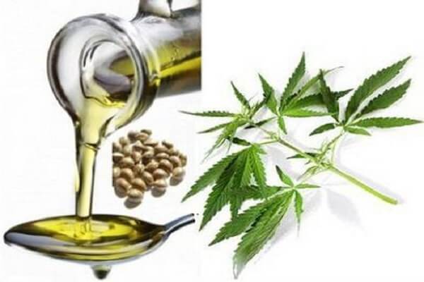 Конопляное масло в чайной ложке Масло конопляного семени