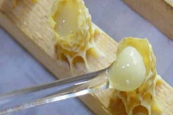 Трутневое молочко - фото