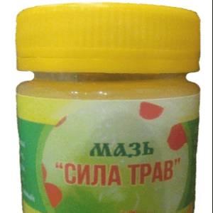 Мазь живичная сила трав Мазь сила трав